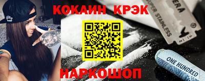 молекула духа Кингисепп