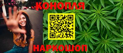 молекула духа Кингисепп