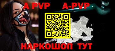 молекула духа Кингисепп