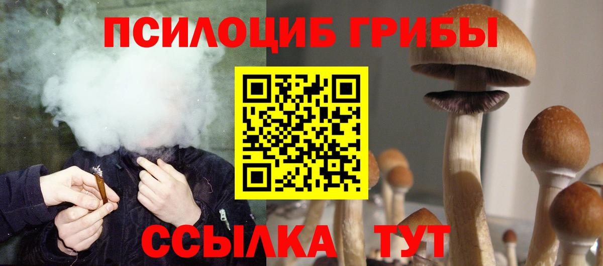 Галлюциногенные грибы GOLDEN TEACHER  Вход с VPN  Лесной  Галлюциногенные грибы ЛСД 